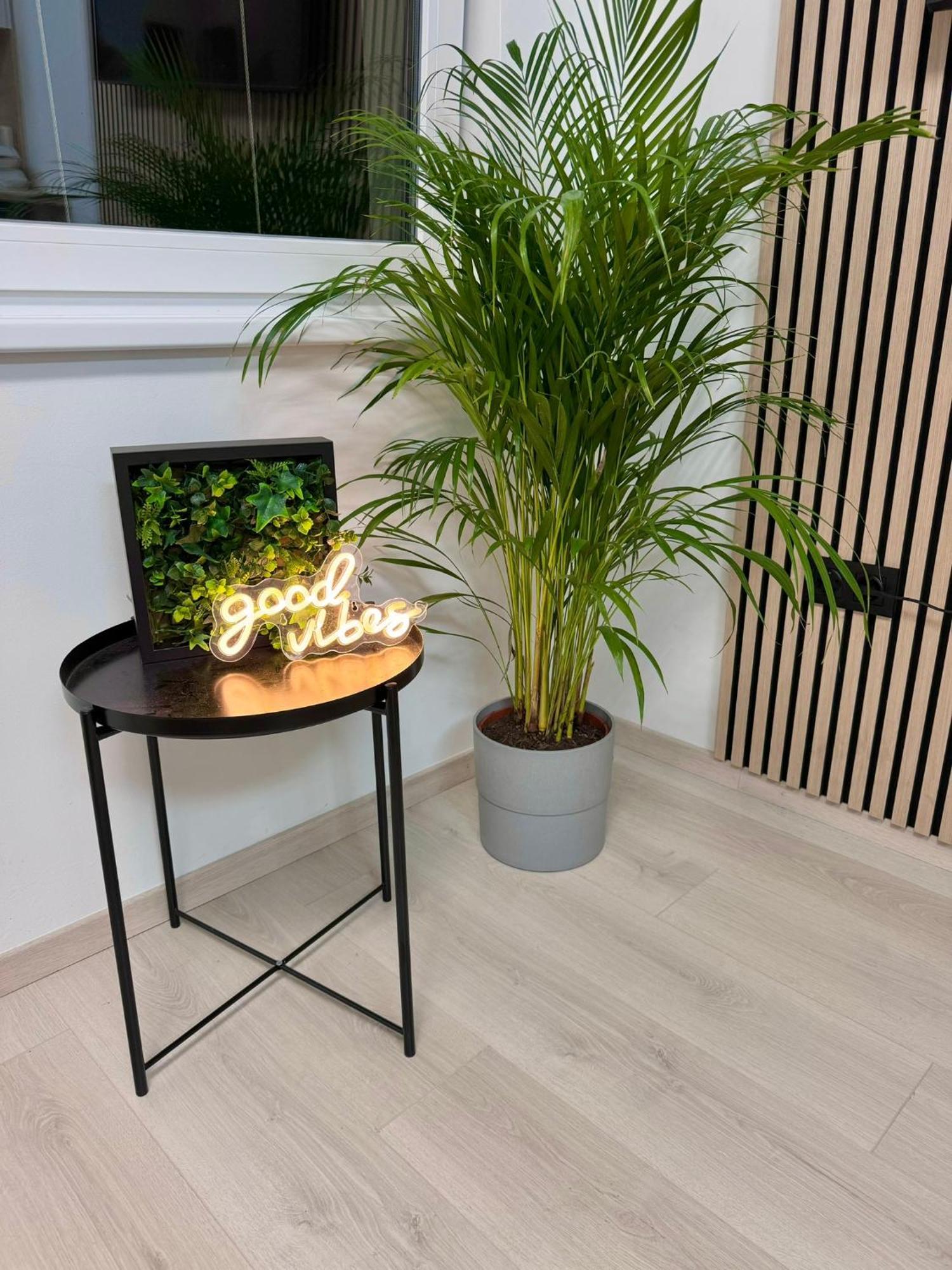 P194 Stylish Cosy Apartment